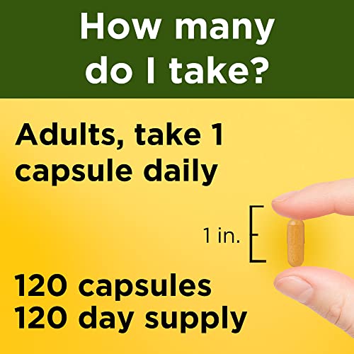 Nature Made Turmeric Curcumin 500 mg Capsules for Antioxidant