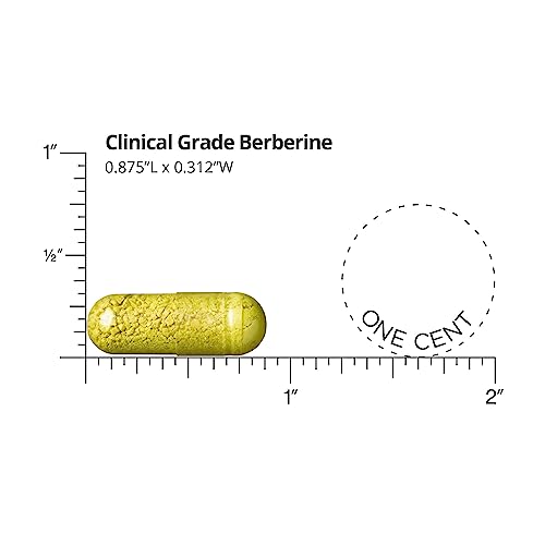 Dr. Whitaker's Berberine Supplement | 1,500mg | 30 Days