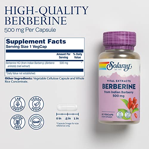 SOLARAY Berberine 500mg: Digestive & Immune Support (60 CT)