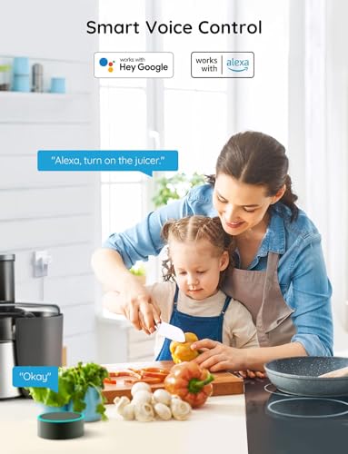 Govee Dual Smart Plug 4 Pack with WiFi