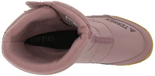 adidas Terrex Choleah Cold.RDY Women's Walking Sneakers