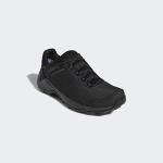 adidas Terrex Entry Hiker GTX Black Shoes