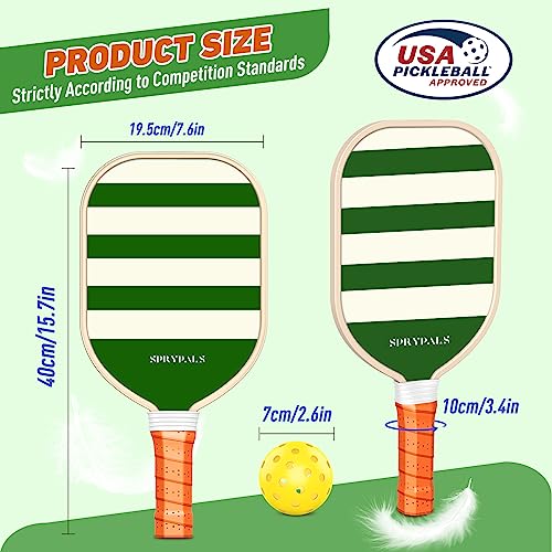 Premium USAPA Approved Pickleball Paddle Set