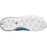 Salomon Speedcross 5 Men's Trail Running Shoes