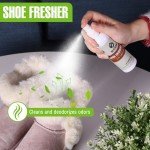 Shoe Cleaning Kit: Cleaner, Brushes, Deodorizer, Protector