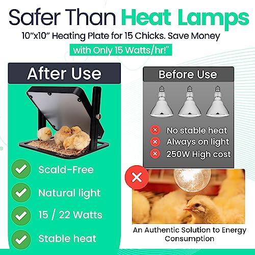 Duck & Chicken Brooding Heater Plate - Adjustable Heat