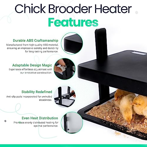 Duck & Chicken Brooding Heater Plate - Adjustable Heat