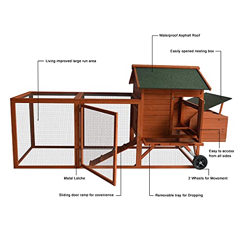 Deluxe Wooden Chicken Coop with Nesting Box