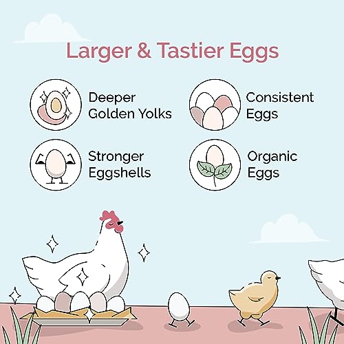Mile Four Organic Layer Chicken Feed | 100% US Grown | Non-GMO | Corn & Soy-Free | 16% Protein | 46 lbs