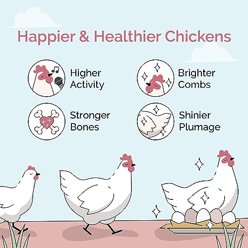 Mile Four Organic Layer Chicken Feed | 100% US Grown | Non-GMO | Corn & Soy-Free | 16% Protein | 46 lbs