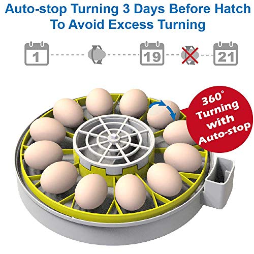 12 Egg Incubator with Humidity Display and Turner