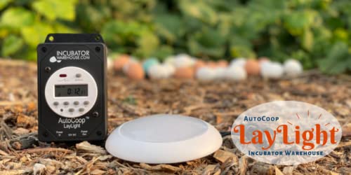 AutoCoop LayLight - Boosts Chicken Egg Production