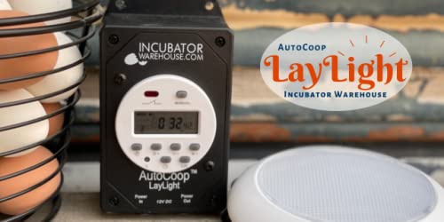 AutoCoop LayLight - Boosts Chicken Egg Production