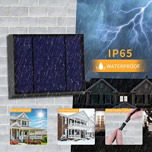 Solar Chicken Coop Pendant Light with Remote Control