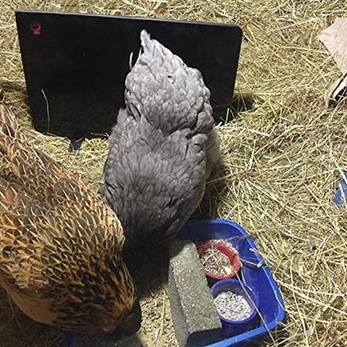 Cozy Safe Chicken Coop Heater - 200 Watts