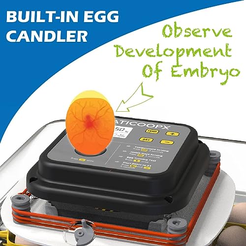 30 Egg Incubator with Humidity Display, Candler and Turner