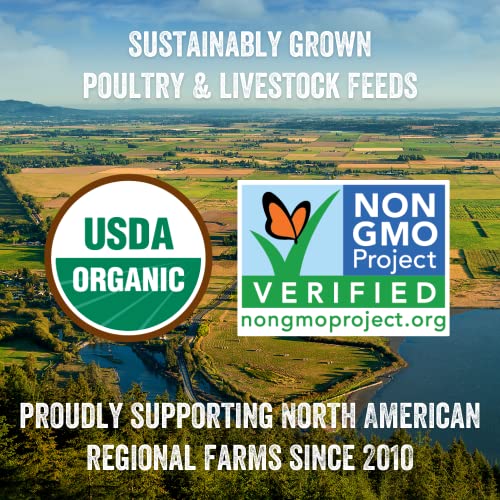 Organic Layer Pellets - High-Quality Chicken Feed