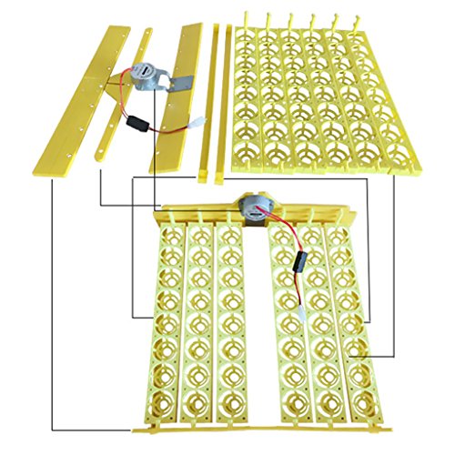 48-digital Auto Egg Turner for Chickens