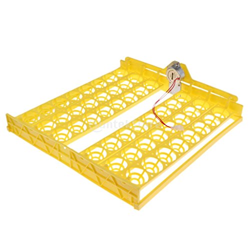 48-digital Auto Egg Turner for Chickens