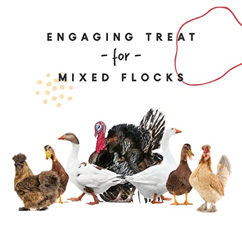 Manna Pro Harvest Delight - Mixed Flock Chicken Treat