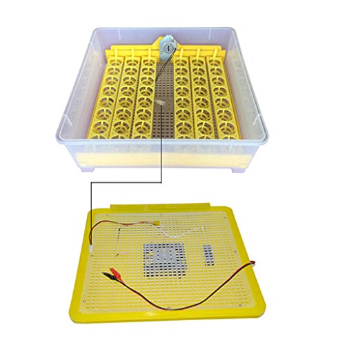 48-digital Auto Egg Turner for Chickens