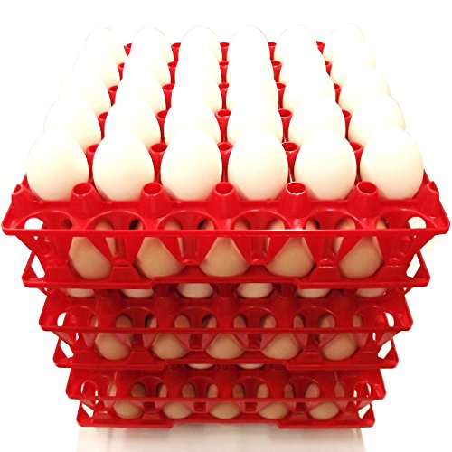 Rite Farm Chicken Trays - 6 30 Egg Capacity