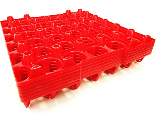 Rite Farm Chicken Trays - 6 30 Egg Capacity