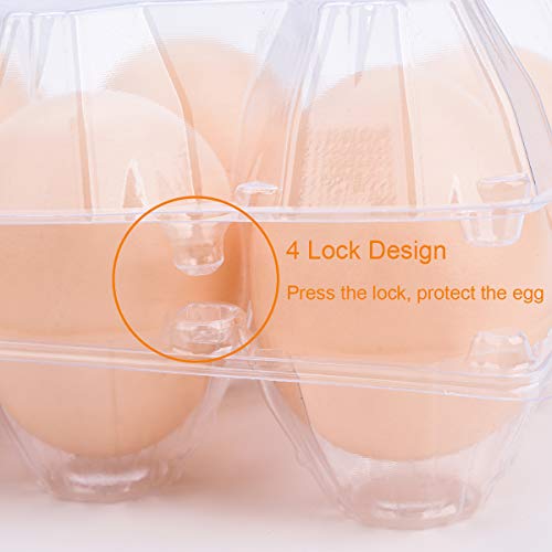 Clear Eco-friendly Plastic Egg Cartons - 60 Packs