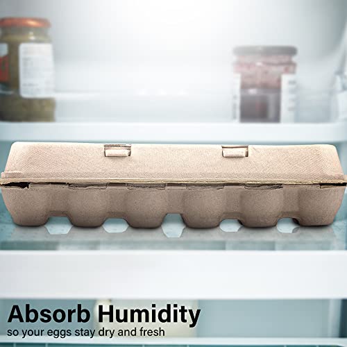 Natural Pulp Egg Cartons - Holds 12 Eggs | 1 Dozen | Sturdy & Eco-friendly | Extra Eggs Storage