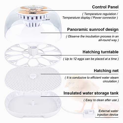 Safego Egg Incubator for Hatching Chicken Quail Duck