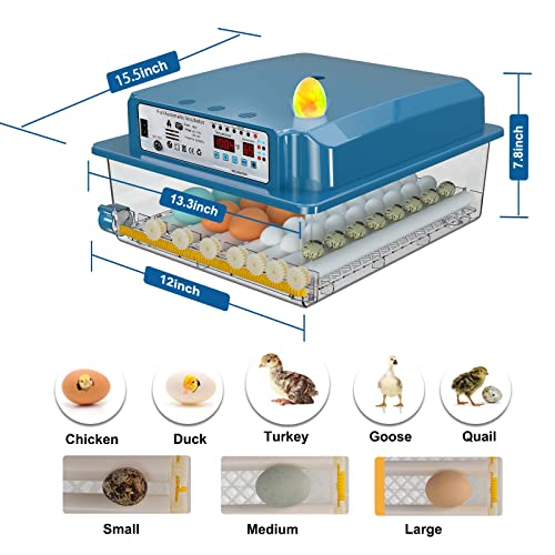 Vevitts 36 Eggs Incubator with Automatic Turner