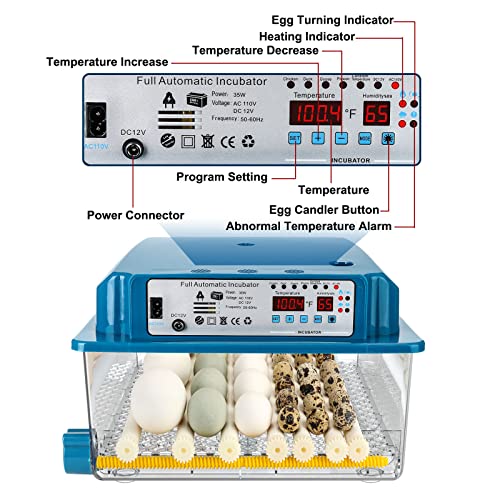 Vevitts 36 Eggs Incubator with Automatic Turner
