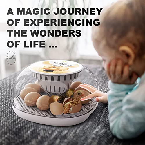 Safego Egg Incubator for Hatching Chicken Quail Duck