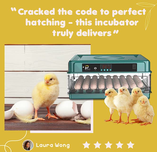 Industrial Egg Incubator, Automatic 48 Unit+Digital Display