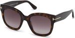 Tom Ford Beatrix-02 Dark Havana & Rose Gold Sunglasses