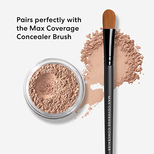 bareMinerals SPF 20 Loose Powder Concealer, Vegan Formula