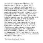 Organic Silk Foundation Elixir - Fair