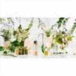 Organic Silk Foundation Elixir - Fair