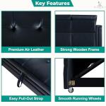 Lily Sectional Sleeper Sofa with USB Ports