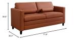 Modern Convertible Queen Sofa Bed in Cognac