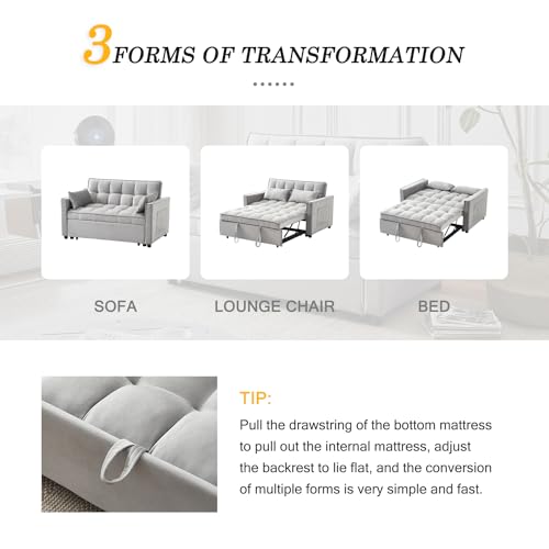 55.5'' Modern Convertible Velvet Sleeper Sofa