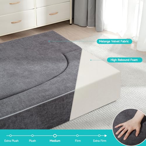 Twin Size Folding Sofa Bed by Z-hom