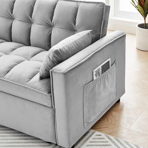 Calabash 3-in-1 Sleeper Sofa Bed Loveseat