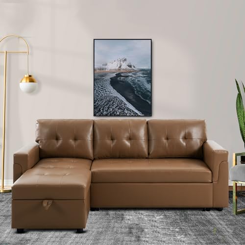 Naomi Home Sleeper Sectional Sofa with Chaise