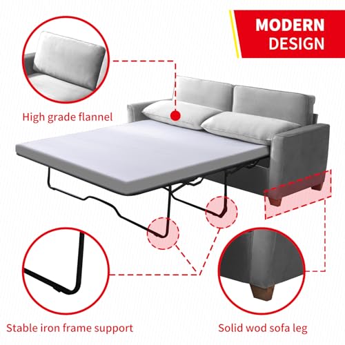 Queen Pull-Out Sofa Bed with Foam Mattress