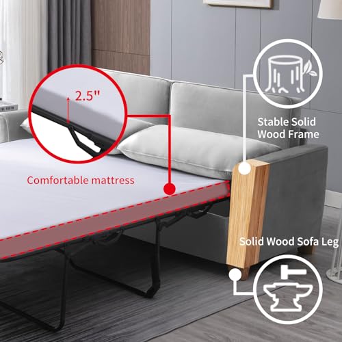 Queen Pull-Out Sofa Bed with Foam Mattress