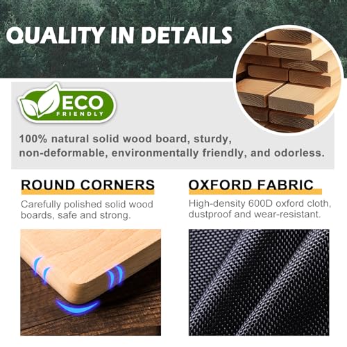 LAVEVE Queen Size Sleeper Sofa Bed Insert