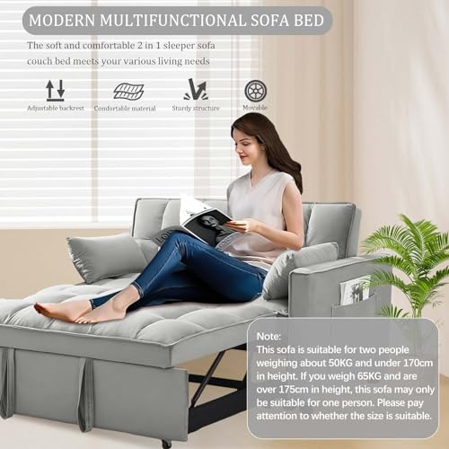 Velvet 3-in-1 Sleeper Sofa with Storage and Pillows