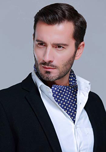HISDERN Men's Formal Ascot Cravat Ties - Assorted