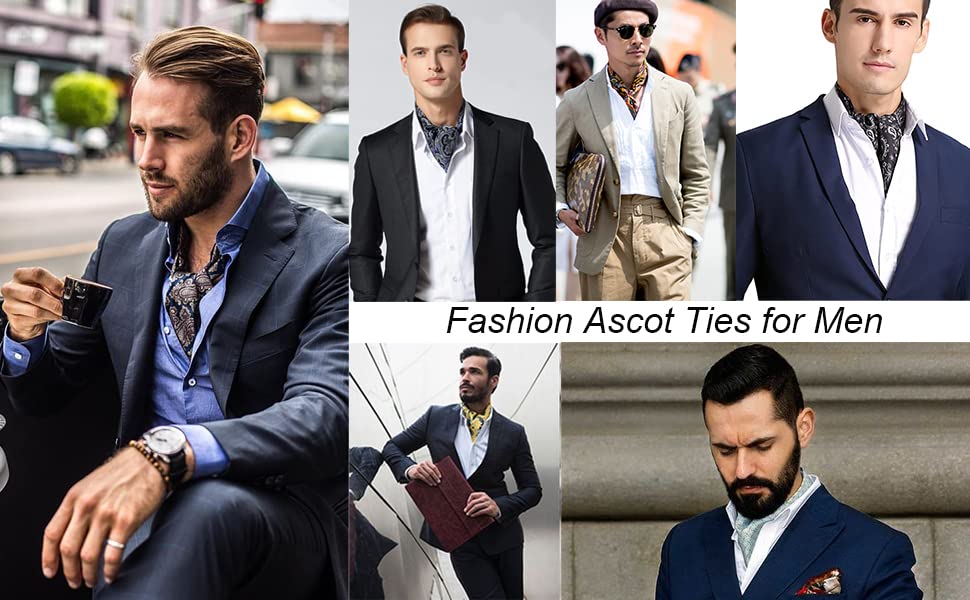 HISDERN Men's Formal Ascot Cravat Ties - Assorted